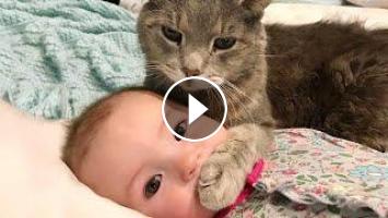 Bebe Et Chat Amusant Et Mignon Video Drole De Bebe Bebe Et Chat Amusant Et Mignon Video Drole De Bebe