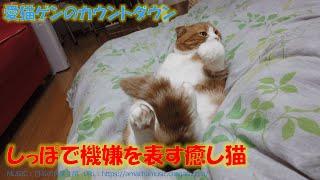 O4vlc9zhpcct5m O4vlc9zhpcct5m